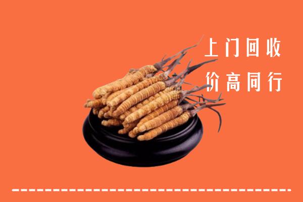 高价求购：广平县回收散虫草