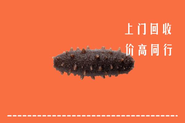 广平县回收海参