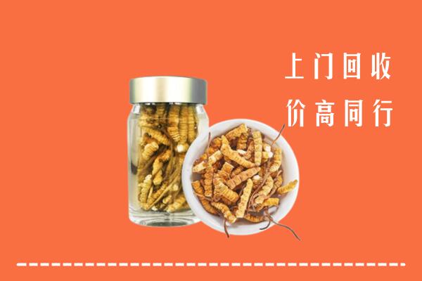 广平县回收冬虫夏草